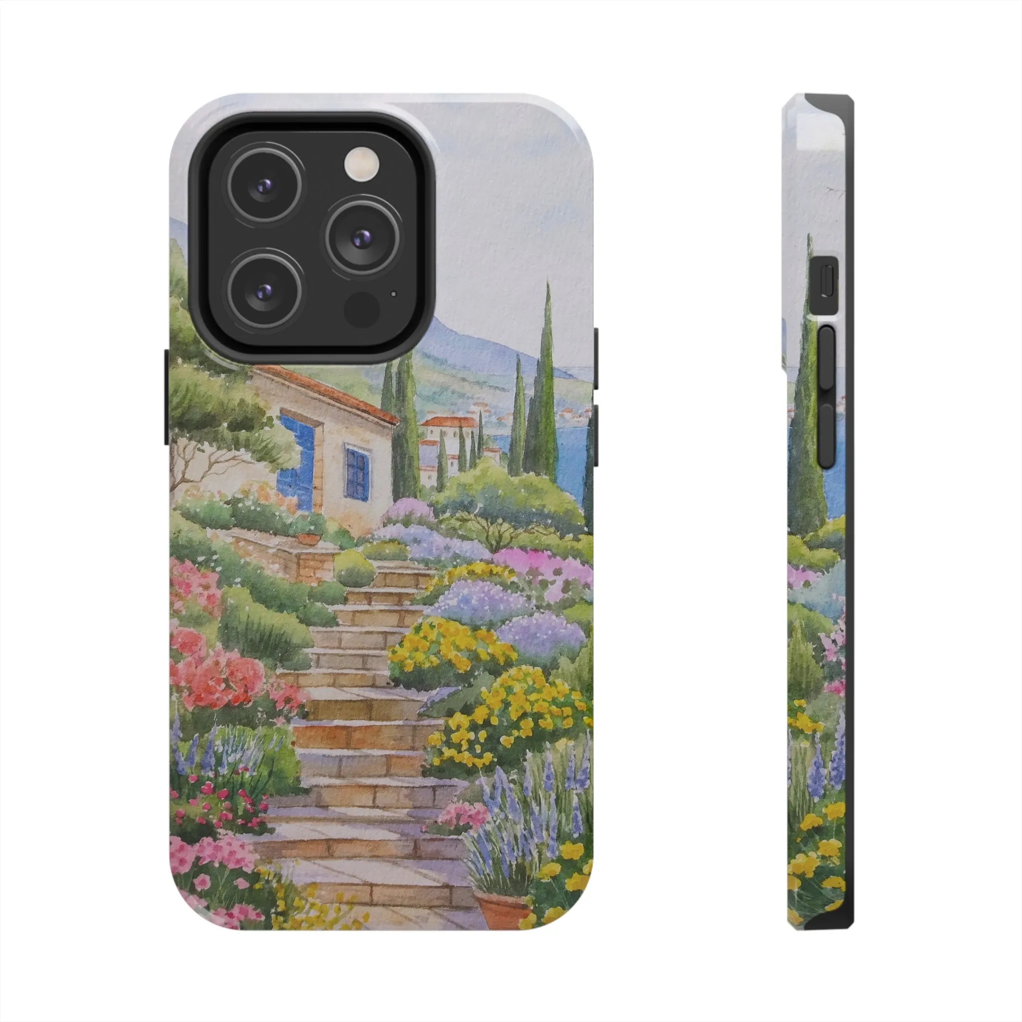 A View from the Top | Painting Case