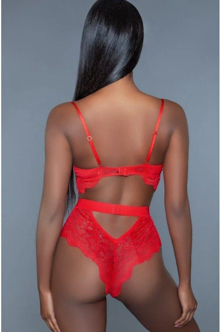 All Over Lace Underwire Bodysuit