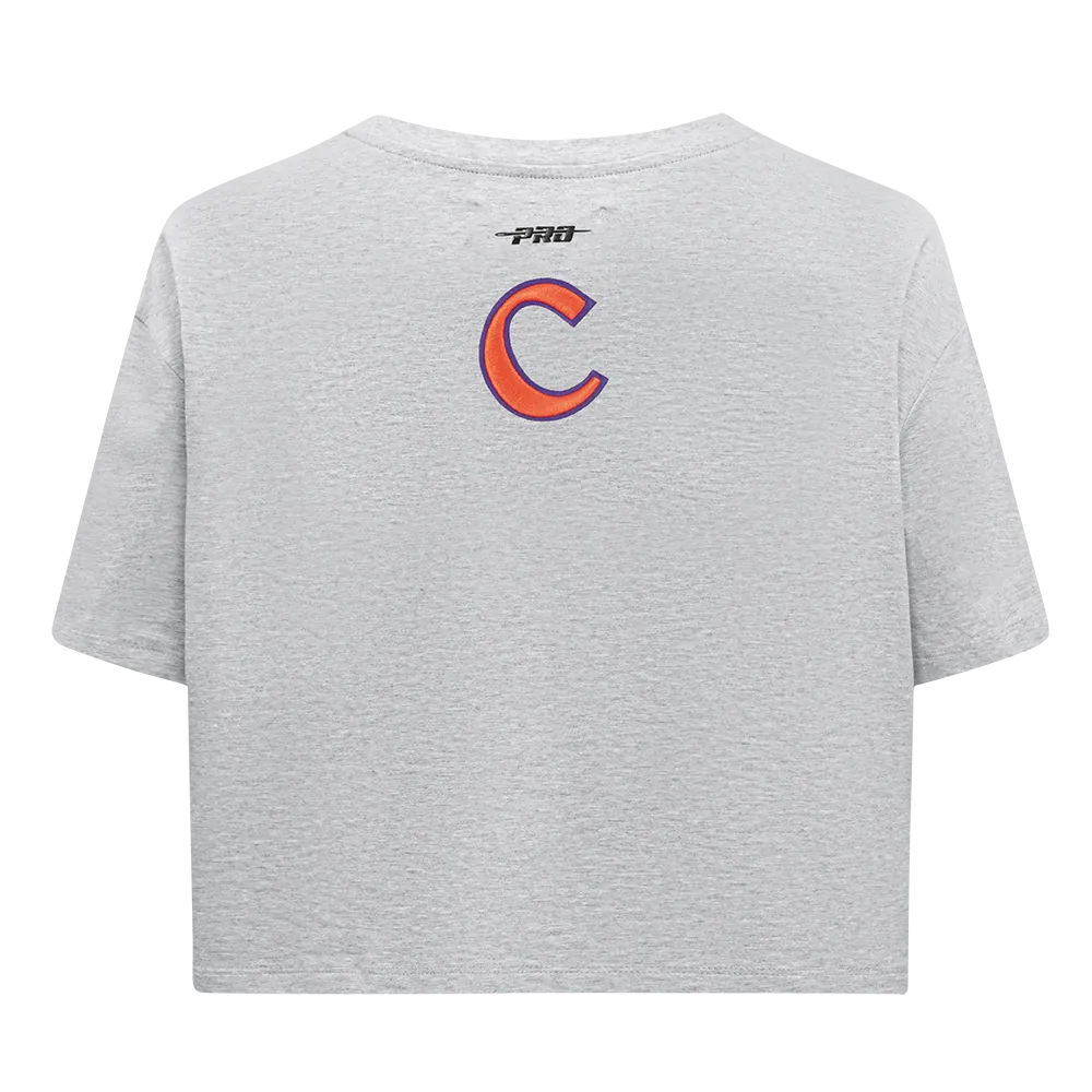 CLEMSON UNIVERSITY CLASSIC SINGLE JERSEY BOXY TEE (HEATHER GREY)