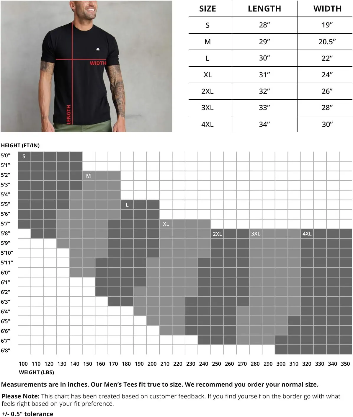 INTO THE AM Mens T Shirt with Logo - Short Sleeve Crew Neck Soft Fitted Tees S - 4XL Fresh Classic Basic Tshirts