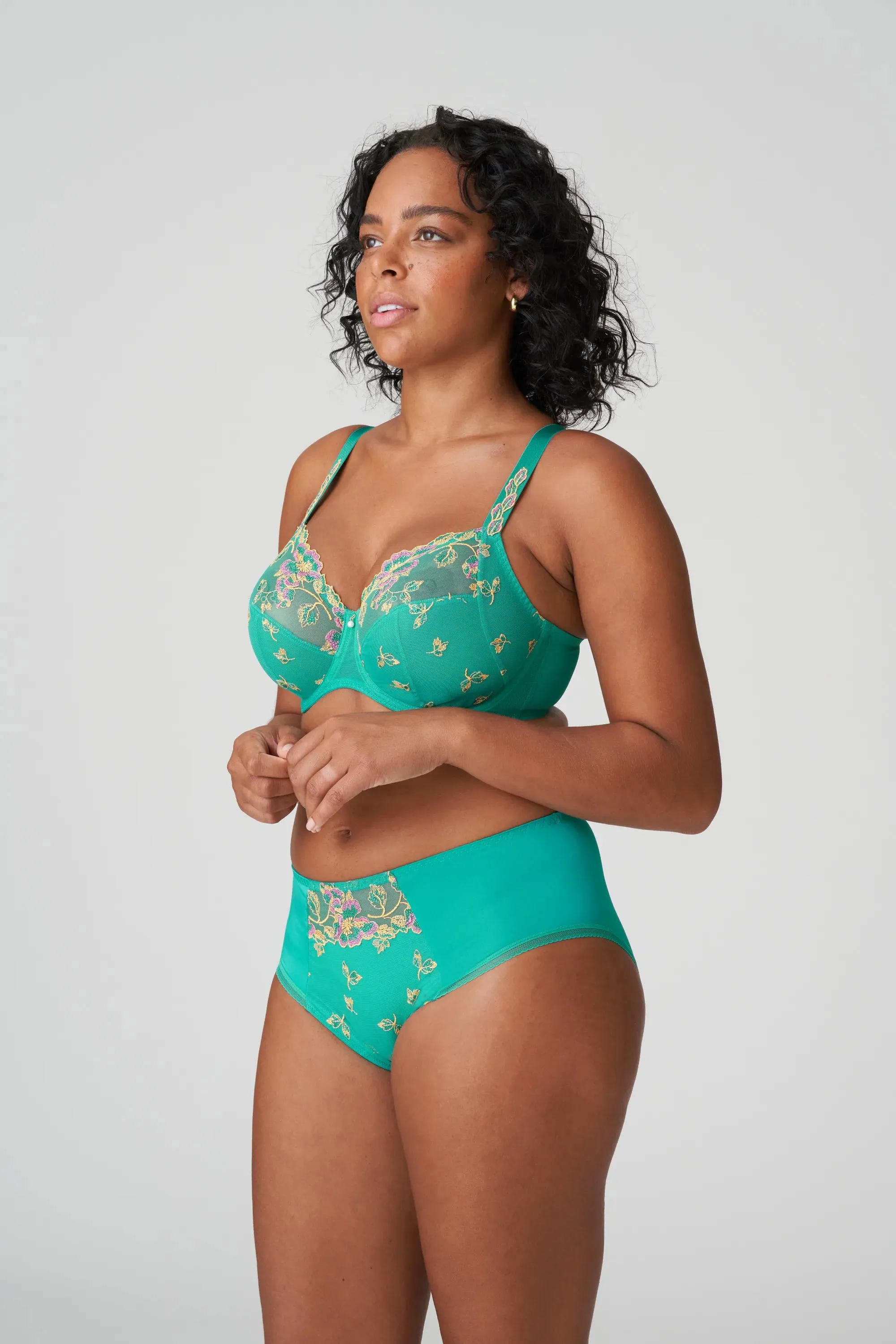 Lenca Full Brief