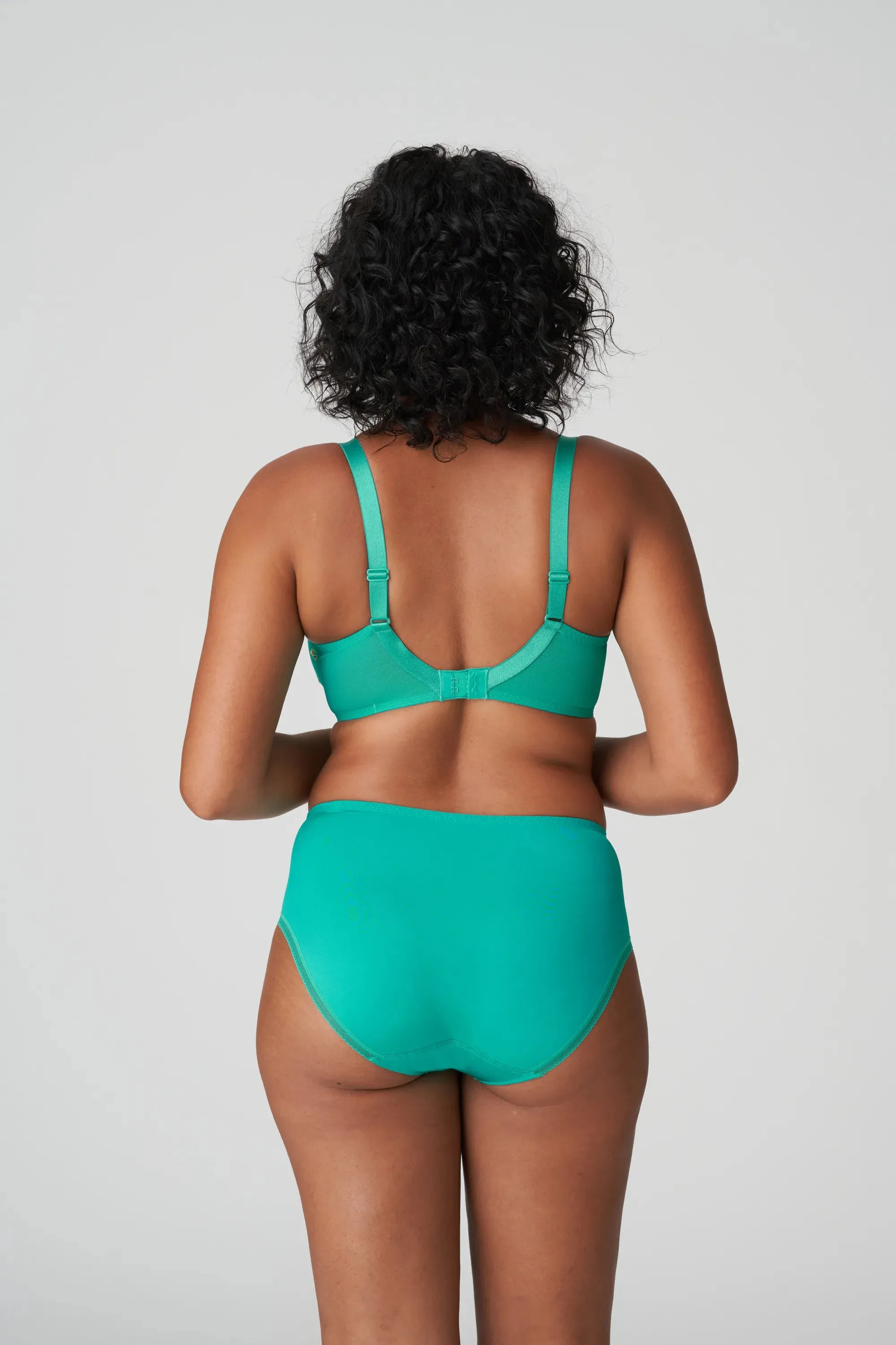 Lenca Full Brief
