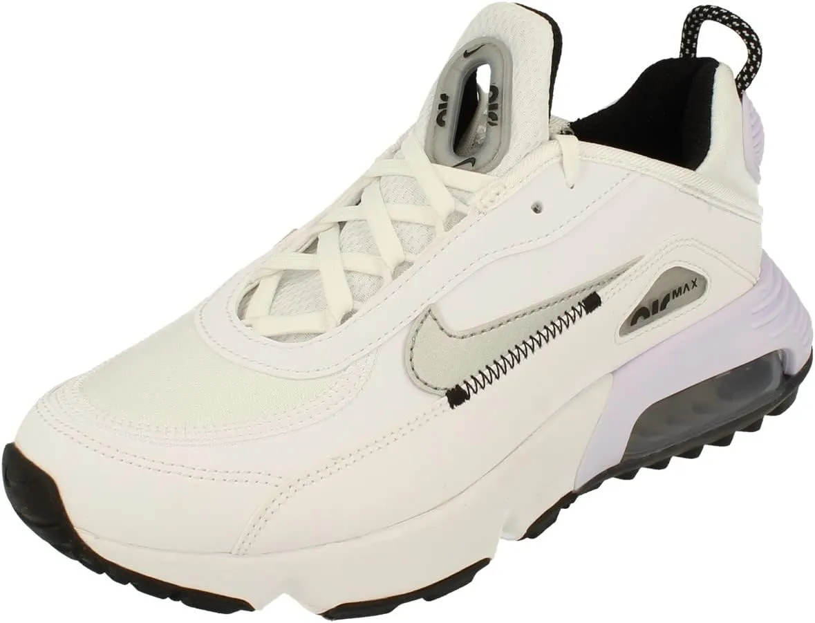 Nike Air Max 2090 C/S GS Trainers DH9738 Sneakers Shoes (UK 5.5 us 6Y EU 38.5, White Metallic Silver 100)